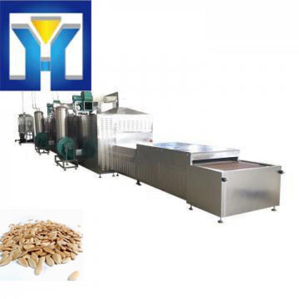 Shelled Pumpkin Seeds Drying and Sterilizing Machine #1 image