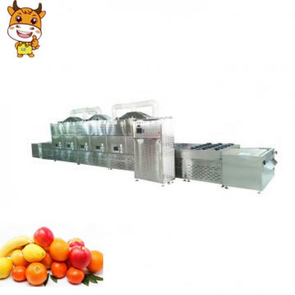 Tunnel Type Microwave Sterilization Preserved Fruit Equipment #1 image
