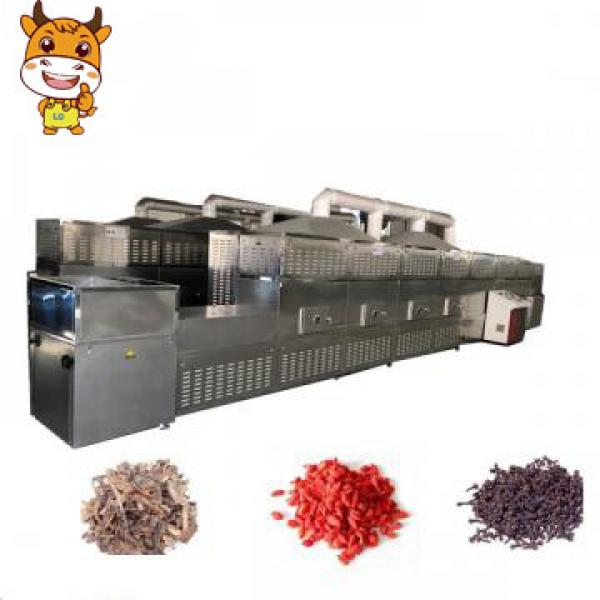 2019 Hot Sale Industrial Conveyer Drying Machine #1 image