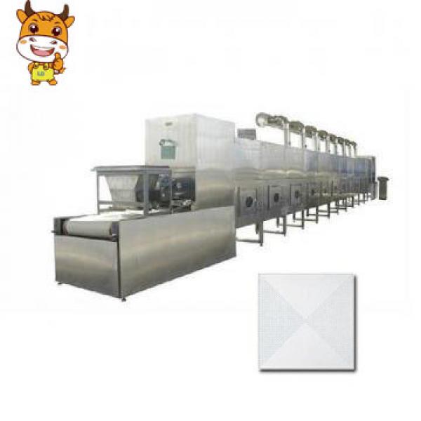Automatic tunnel industrial gypsum board microwave drying machine #1 image